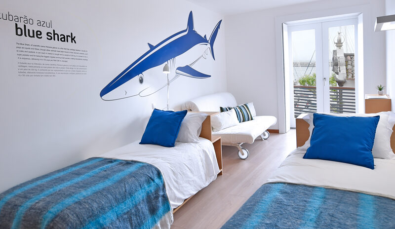 Quarto blue shark Casa da Baía Guest House
